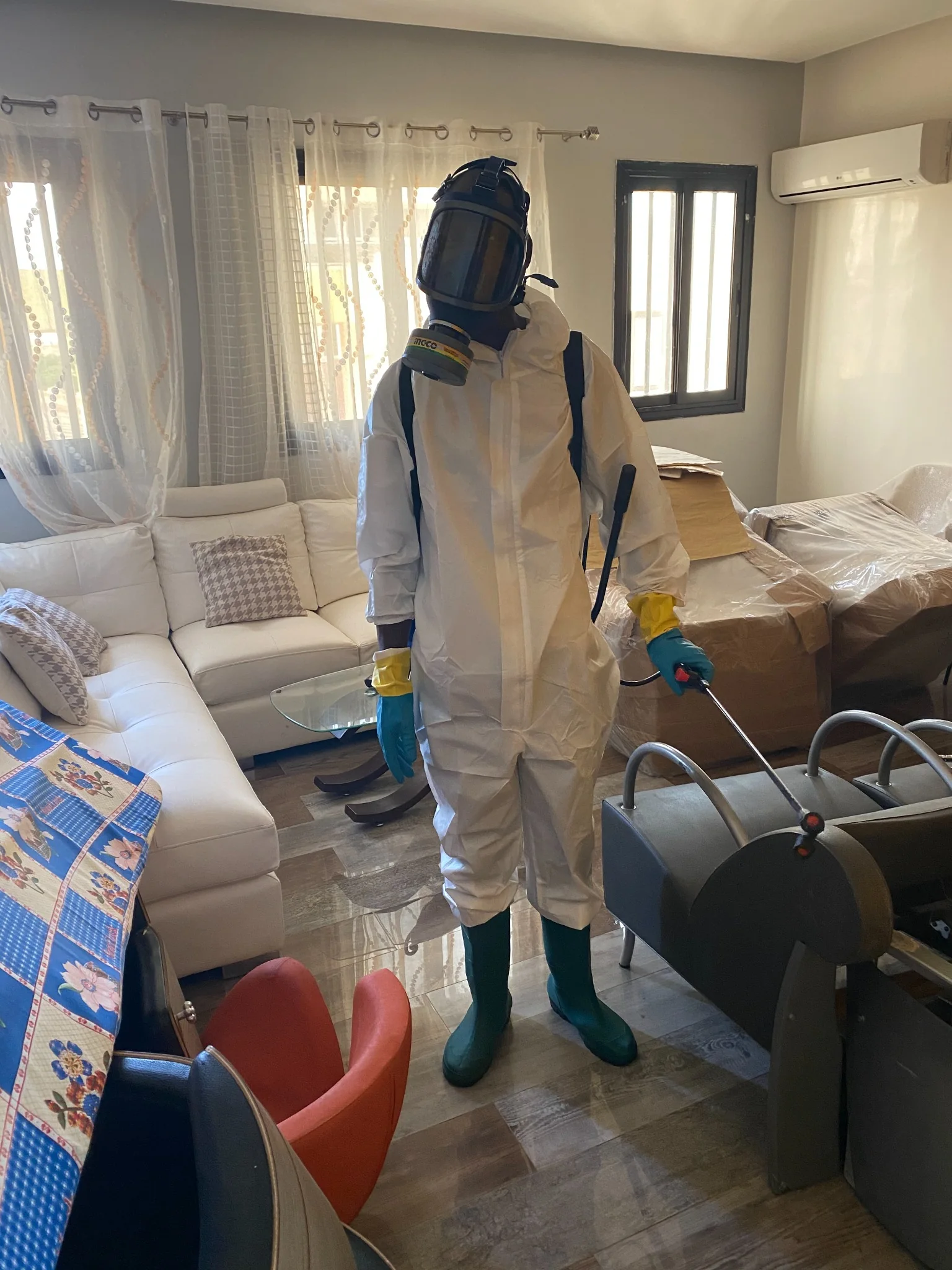 traitement désinsectisation dans un salon par Sawara Entreprise à Dakar